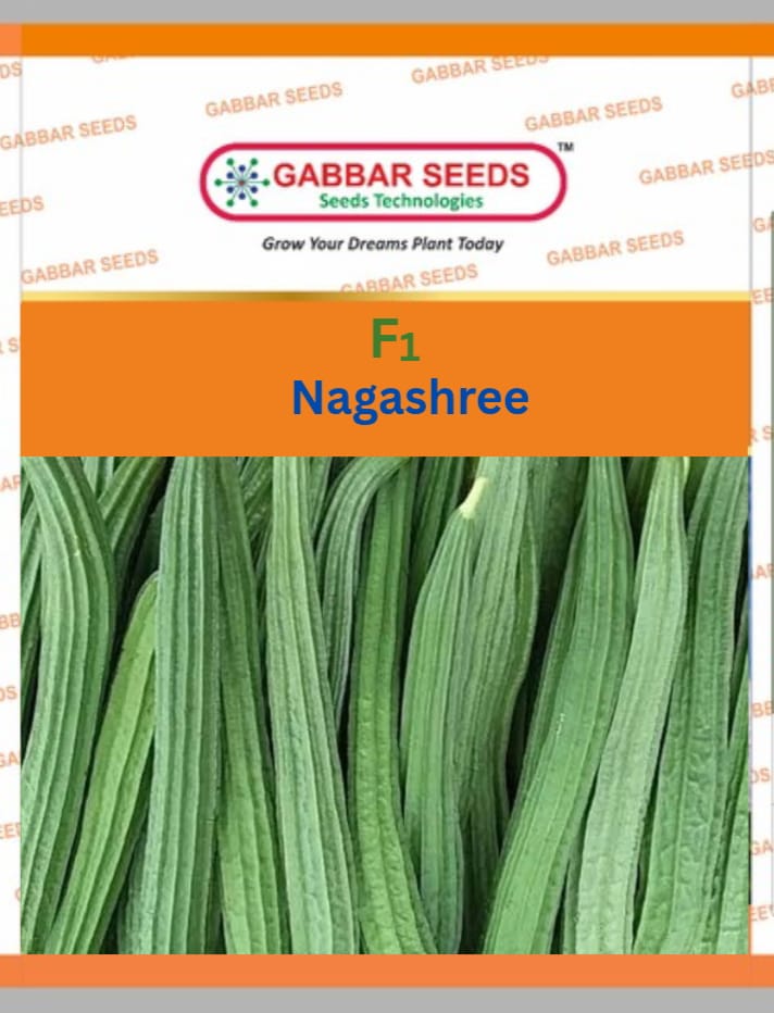F1-Nagashree